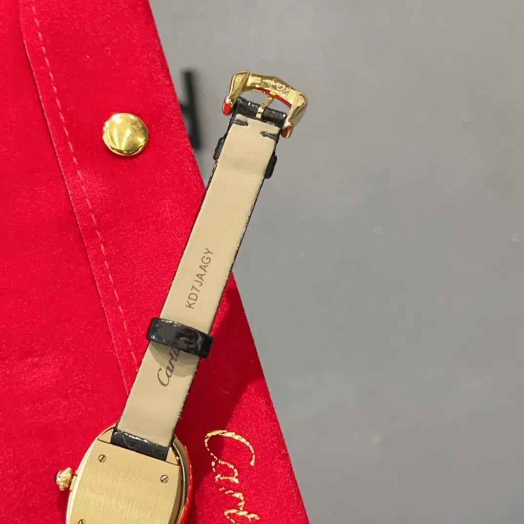 Cartier Diamond Bezel Taupe Watch - Hình 3