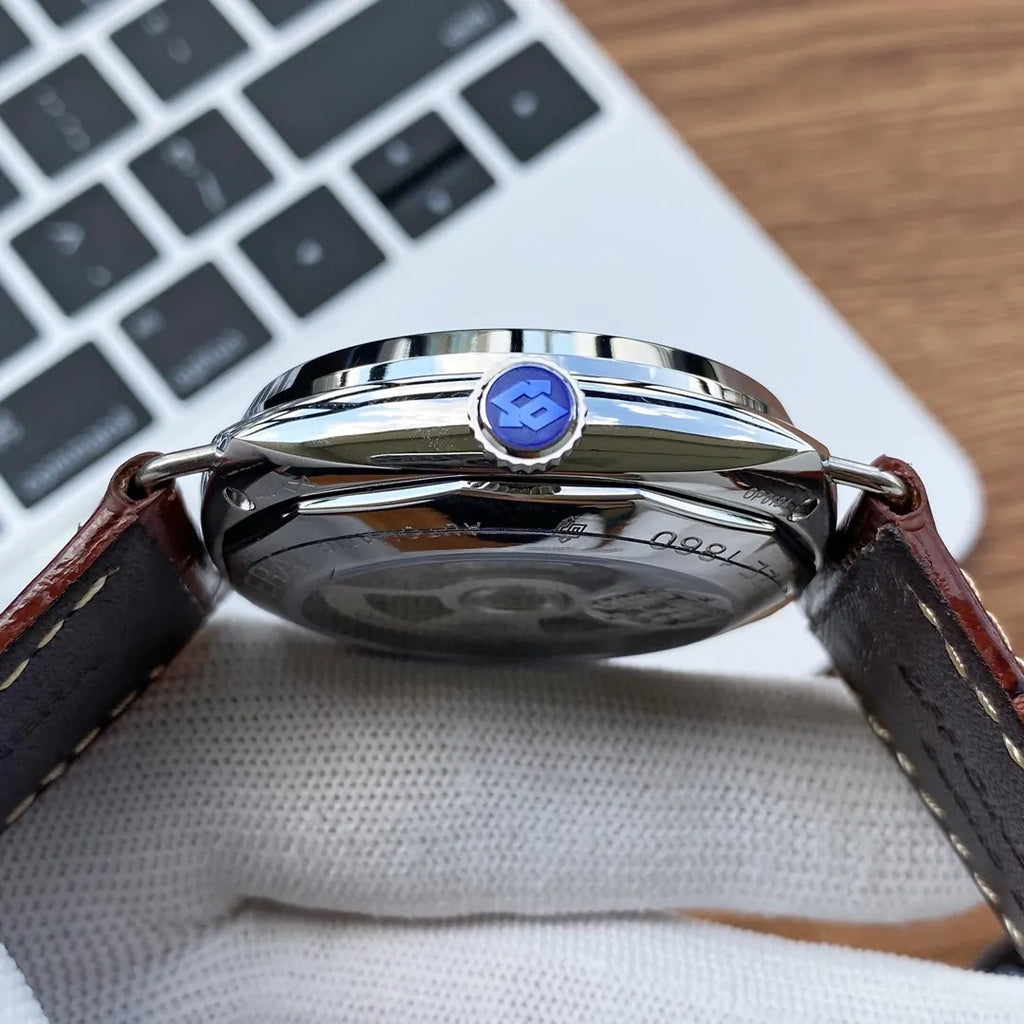 brown Panerai Radiomir Black Dial - Hình 2